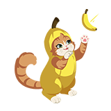 Banana Cat Spray