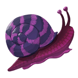 3x Stripeshell Snail