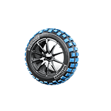 RALLY OUTER BLUE TIRE