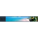 MCC Beach Life