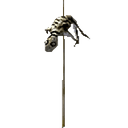 Lizard On Stick