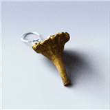 Forage Fortune