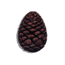 Closed Seed Cone