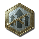 Prem. Weapon EXP Token x2