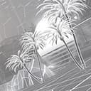 Point Break (White)