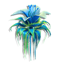 Floating Tassel Lily