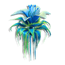 Floating Tassel Lily