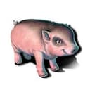 Mini Piglet