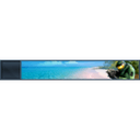 MCC Beach Life